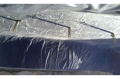 social-responsibility